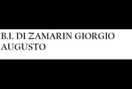 B.I. di Zamarin Giorgio Augusto